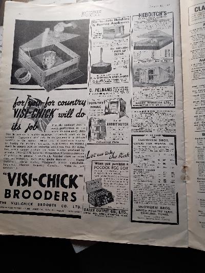 Poultry World  Vol. 65 Nr. 26 and Vol. 66 Nr. 2-6  6 Hefte - Front Cover