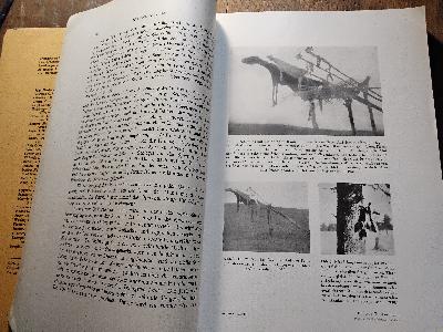 Anthropos Internationale Zeitschrift für Völker und Sprachenkunde  Band XXVIII  Heft 3,4 - Front Cover