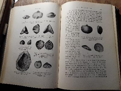 Baltische Landeskunde  im Verein mit mehreren Mitarbeitern herausgegeben  2 Bände - Front Cover