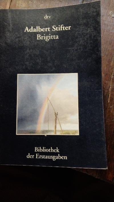  Brigitta   Novelle   Urfassung/ Studienfassung Wien und Leipzig 1844/ Pest 1847  - Front Cover