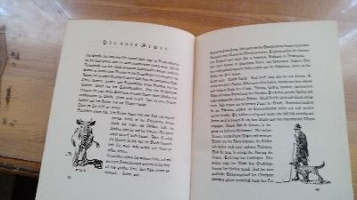 Vom grünen Rauschen  Ein Buch vom Oberharz - Front Cover