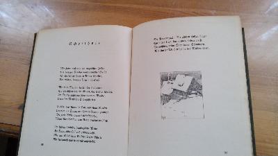 Vom grünen Rauschen  Ein Buch vom Oberharz - Front Cover