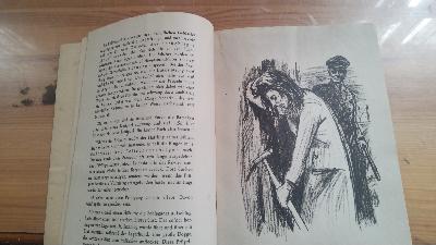 Frauen im Konzentrationslager Ravensbrück - Front Cover