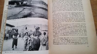 Wasser oder Öl  Ein Buch über den Nahen Osten - Front Cover