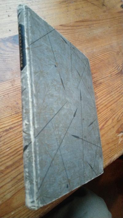 Galgenlieder nebst dem Gingganz - Front Cover