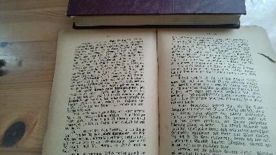 Wiener Cafes in Berlin  Mitternächtliche Studien des grossstädtischen Welt- und Halbweltlebens - Front Cover