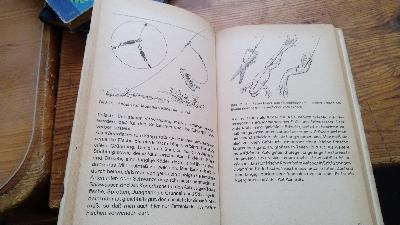 Aal  Wels Quappe - Front Cover