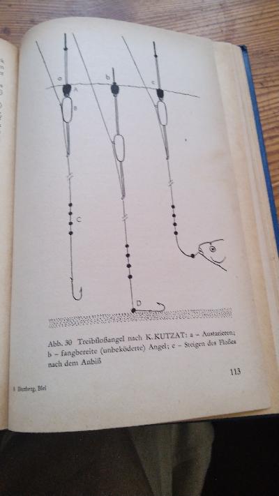 Blei und Güster - Front Cover