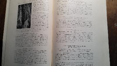 Vegetationsstudien auf der Insel Håøya im Oslofjord   Unter besonderer Berücksichtigung der Gefässpflanzen und Moose.  - Front Cover