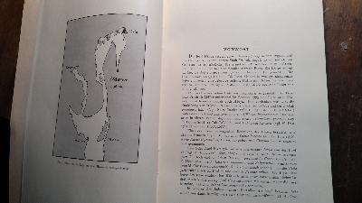 Vegetationsstudien auf der Insel Håøya im Oslofjord   Unter besonderer Berücksichtigung der Gefässpflanzen und Moose.  - Front Cover
