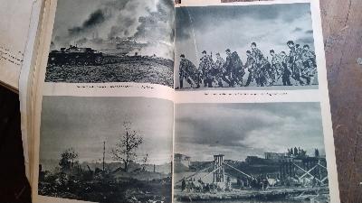 Allen Gewalten zum Trotz  Bilder vom Feldzug im Osten - Front Cover