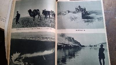 Allen Gewalten zum Trotz  Bilder vom Feldzug im Osten - Front Cover