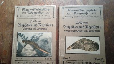 Amphibien und Reptilien  I  Körperbau und Lebensweise II  Anpassung der Organe an die Lebensweise - Front Cover