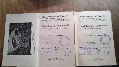 Amphibien und Reptilien  I  Körperbau und Lebensweise II  Anpassung der Organe an die Lebensweise - Front Cover