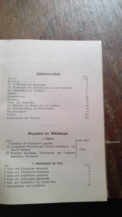 Amphibien und Reptilien  I  Körperbau und Lebensweise II  Anpassung der Organe an die Lebensweise - Front Cover