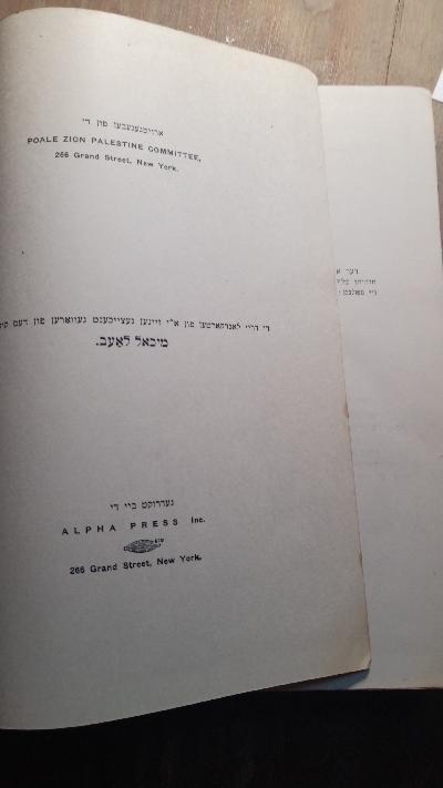 Das Land Israel in Vergangenheit und Gegenwart   Geographie, Geschichte, Rechtswissenschaften, Bevölkerung, Landwirtschaft, Handel und Industrie - Front Cover