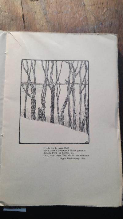 Aaret i Danmark - Front Cover