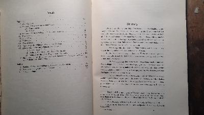 Die Traditionelle Aussprache des Äthiopischen - Front Cover