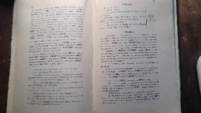Die Traditionelle Aussprache des Äthiopischen - Front Cover