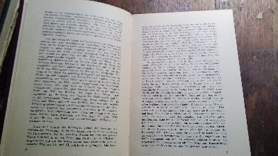 Die tschechischen Legionen in Sibirien - Front Cover