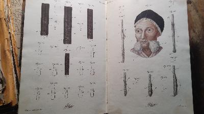 Die Lehre von den Haaren in der gesammten organischen Natur  Zweyter Band  Haare des Menschen - Front Cover