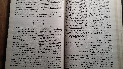 Tora  Nevi im u Khetuvim  mit jiddischer Übersetzung von Yehoash  2 Bände - Front Cover