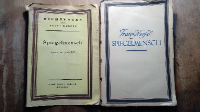 Spiegelmensch  Magische Trilogie - Front Cover