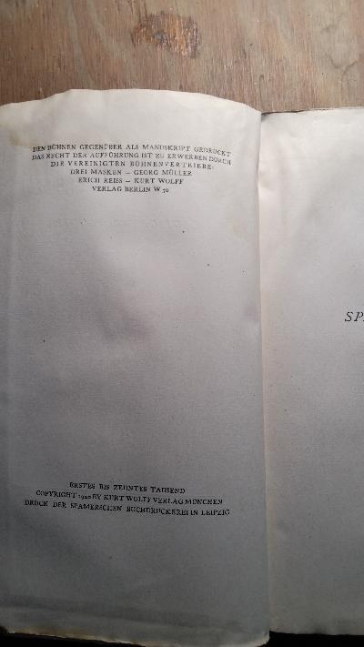 Spiegelmensch  Magische Trilogie - Front Cover
