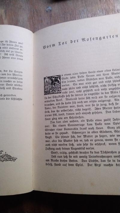 Aus den alten Zauberbronnen  Neue deutsche Märchen - Front Cover