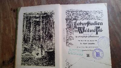 Naturstudien in Wald und Feld  Spaziergangs - Plaudereien - Front Cover