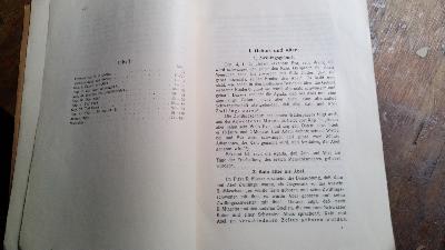 Kain und Abel in der Agada  den Apokryphen, der hellenistischen, christlichen und muhammedanischen Literatur  - Front Cover