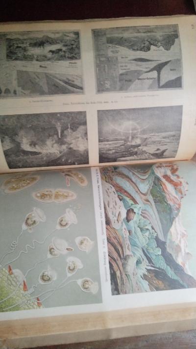 Schulwart - Katalog  Ein illustriertes Verzeichnis der besten Lehr- und Lernmittel.  Mit zahlreichen Illustrationen und bunten Beilagen. - Front Cover