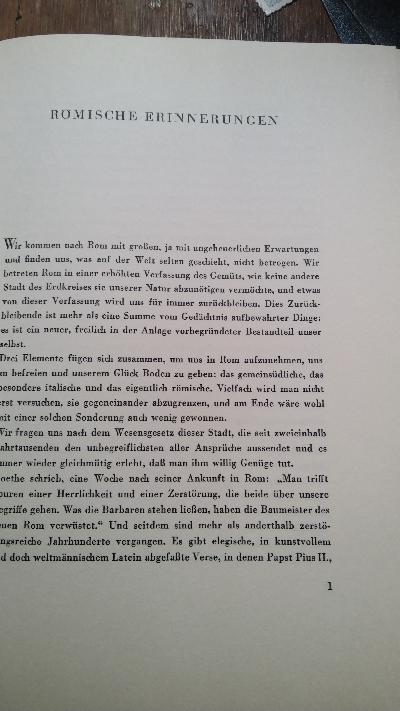 Römisches Erinnerungsbuch - Front Cover