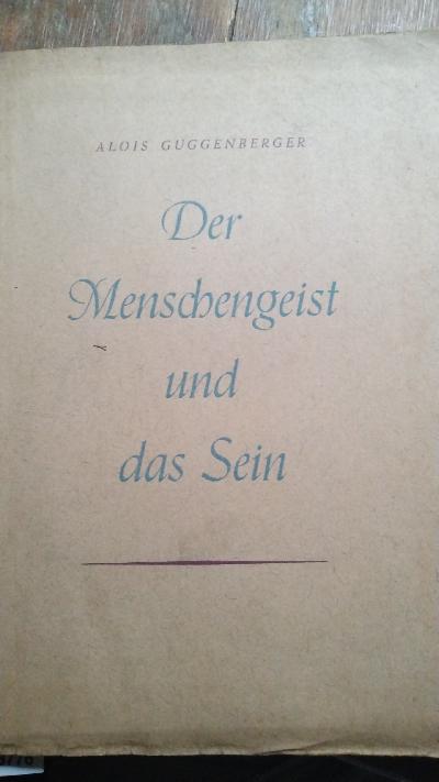 Der Menschengeist und das Sein  Eine Begegnung mit Nicolai Hartmann - Front Cover