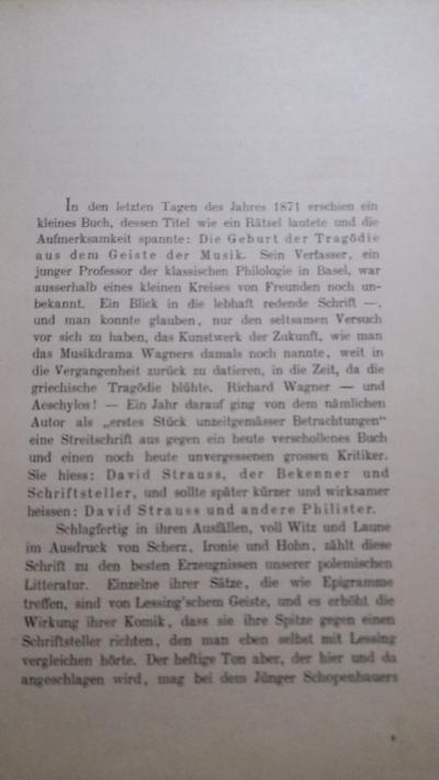Friedrich Nietzsche Der Künstler und der Denker - Front Cover