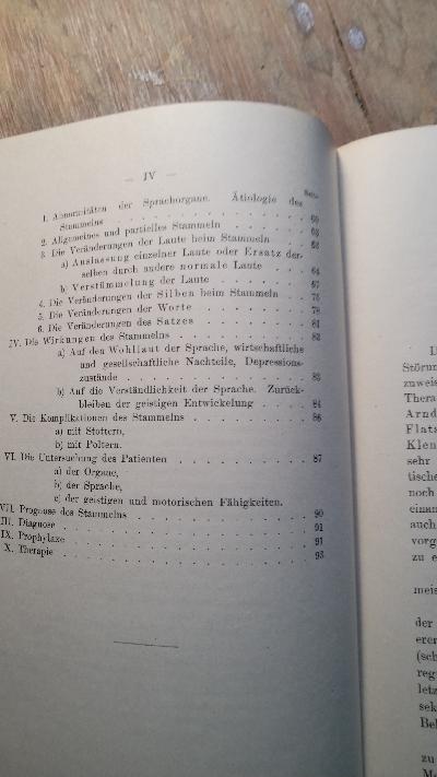 Vorlesungen über Sprachstörungen  1. und 2. Heft  Die Pathologie und Therapie des Stotterns und Stammelns - Front Cover