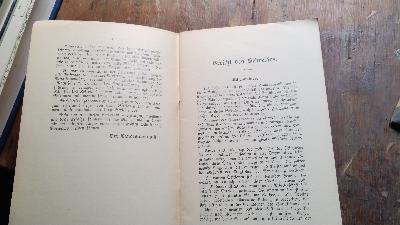 Landesorganisation der deutschen und österr. - ungarl. Sozialdemokraten in der Schweiz  Jahresbericht pro 1907 - Front Cover