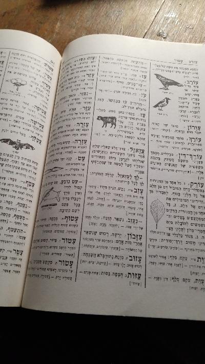 Populäres illustriertes Wörterbuch der hebräischen Sprache mit 10000 Wörten und 1000 Illustrationen - Front Cover