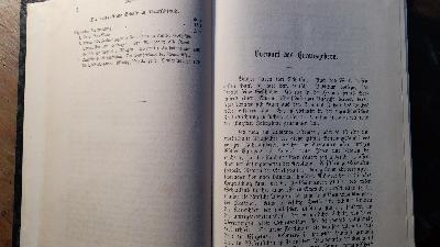 Die Emigrantenlitteratur  Die romantische Schule in Deutschland - Front Cover