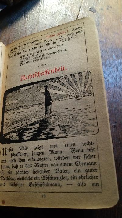 Reiseführer vom Tode zum Leben  Mit vielen Erzählungen - Front Cover